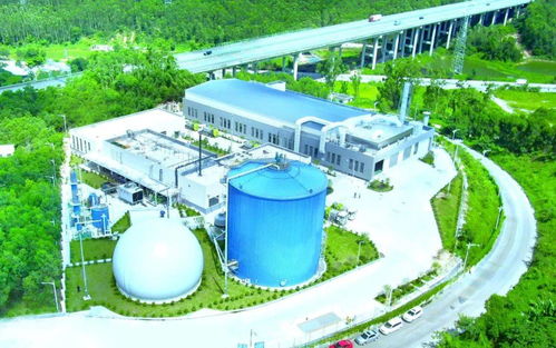 江門市區餐廚垃圾收運處置機制詳解 新聞發布會全回顧